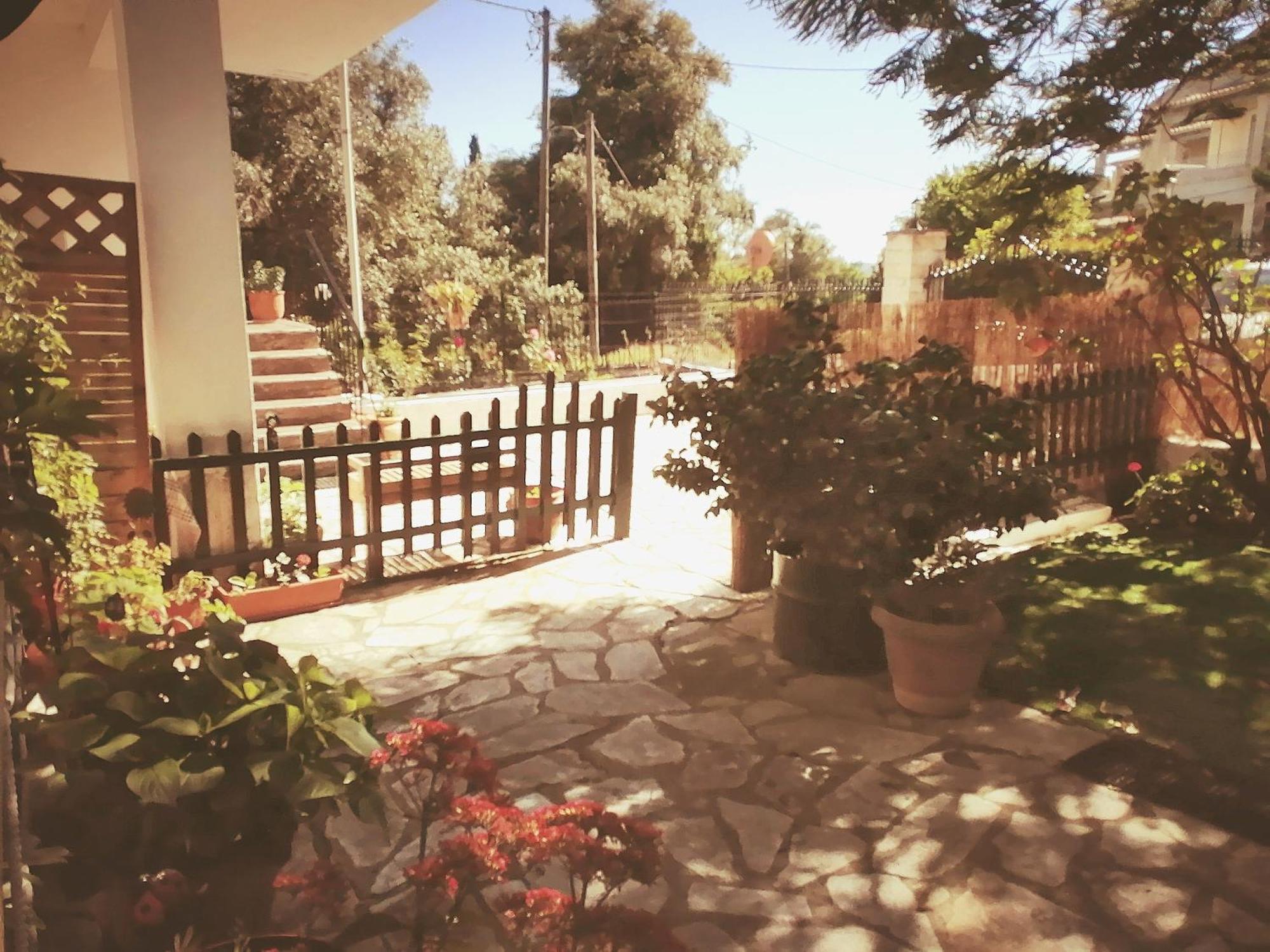 Olga'S Cozy Nest , Apartment In Ano Korakiana. Εξωτερικό φωτογραφία
