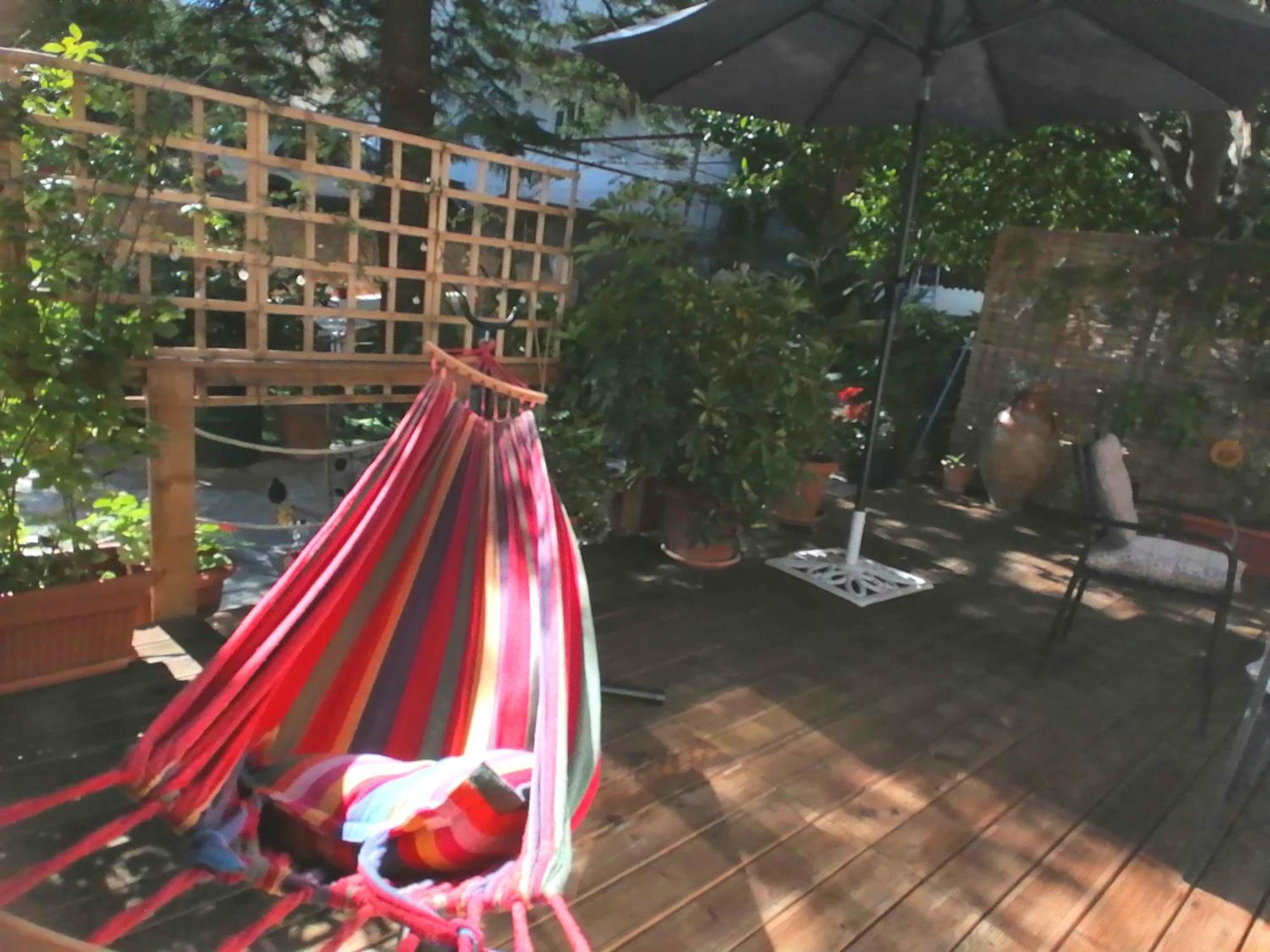 Olga'S Cozy Nest , Apartment In Ano Korakiana. Εξωτερικό φωτογραφία