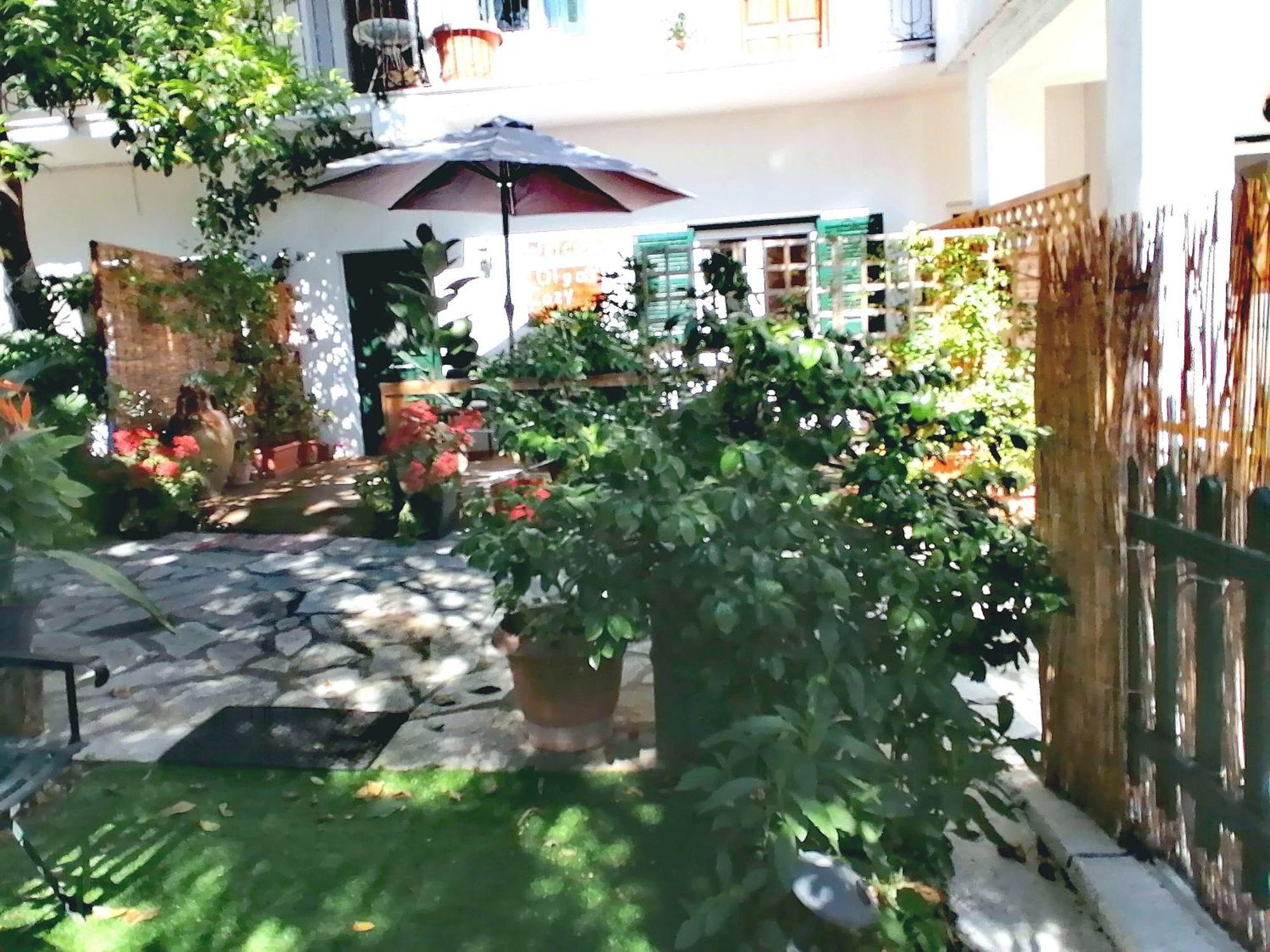 Olga'S Cozy Nest , Apartment In Ano Korakiana. Εξωτερικό φωτογραφία
