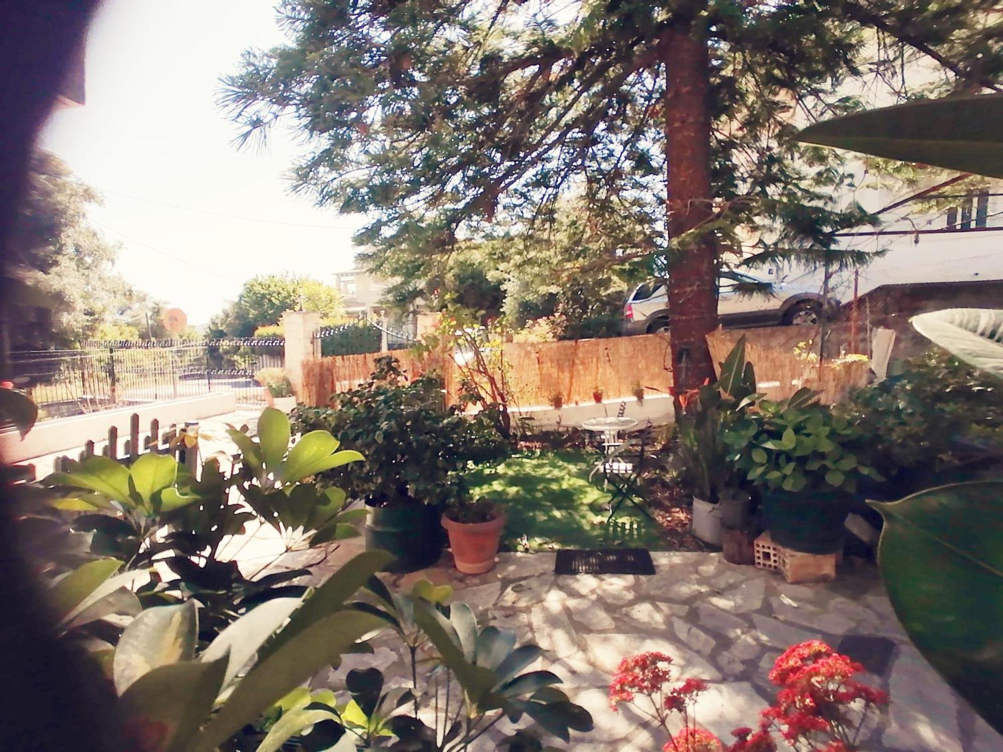 Olga'S Cozy Nest , Apartment In Ano Korakiana. Εξωτερικό φωτογραφία