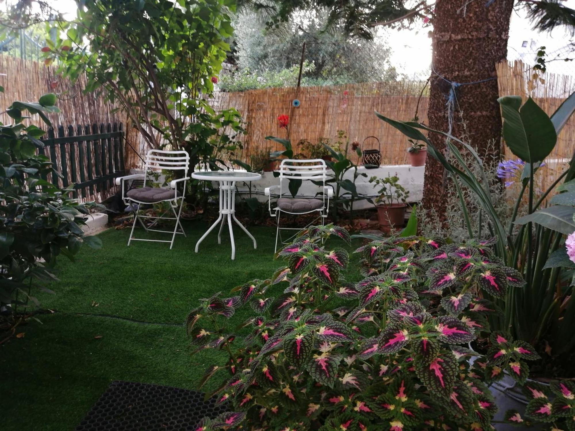 Olga'S Cozy Nest , Apartment In Ano Korakiana. Εξωτερικό φωτογραφία